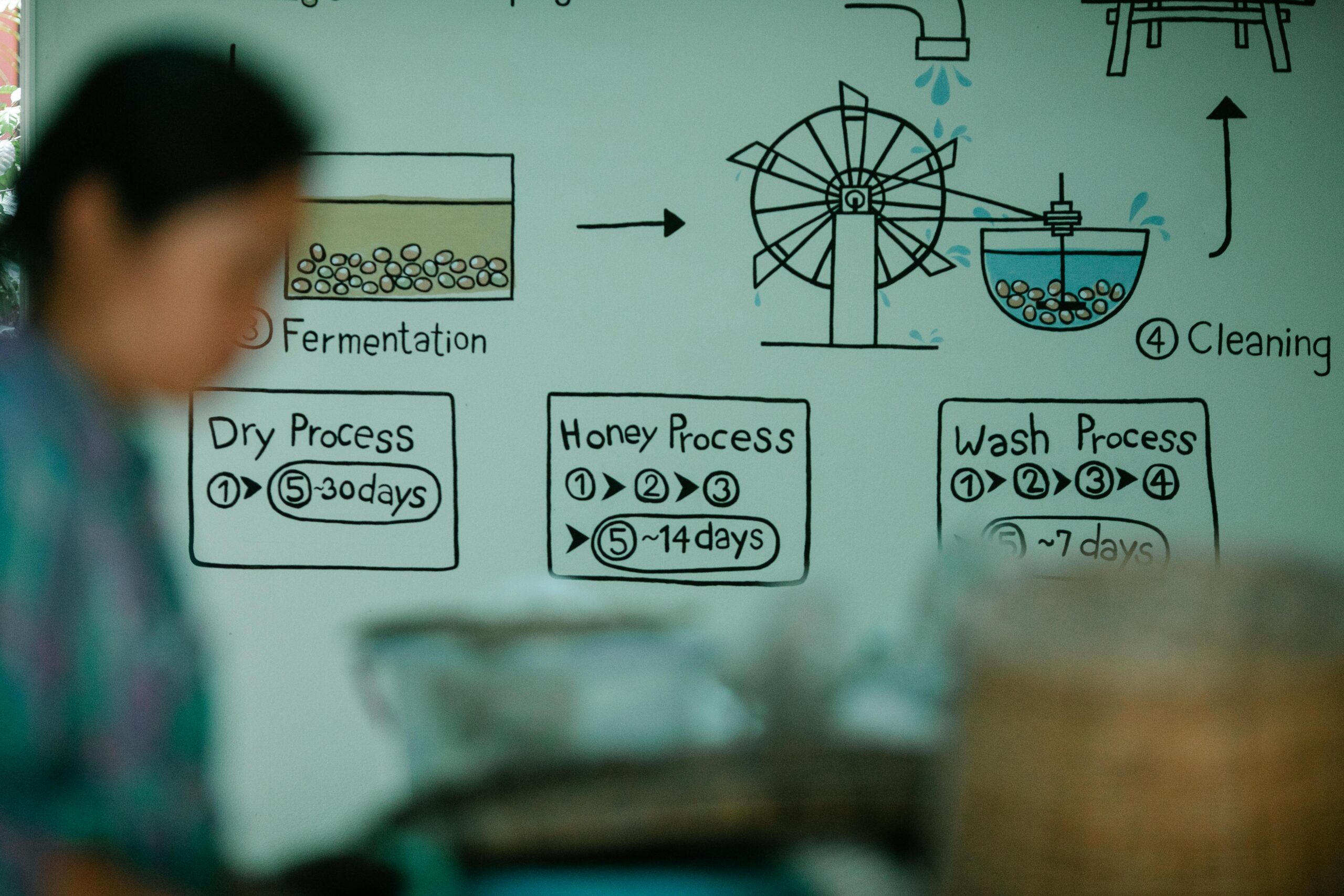 Step-by-Step Process to Apply for a New Car Loan Online