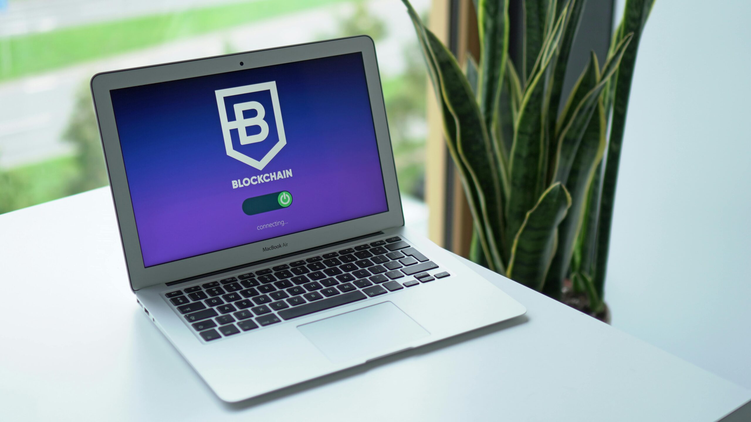 backup your crypto wallet without losing access