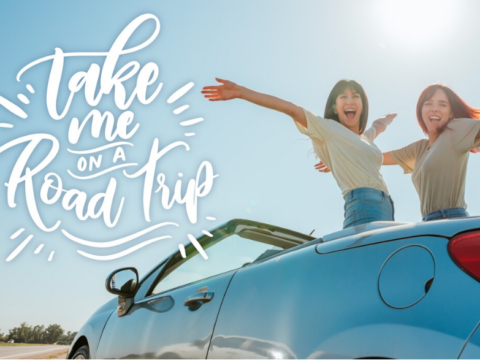 car insurance quotes